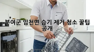 부여군 임천면🏡 습기 제거 청소🧹 꿀팁 공개! ✨